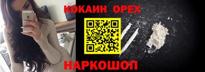 гашик Дубна