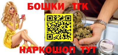 гашик Дубна