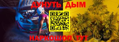 гашик Дубна