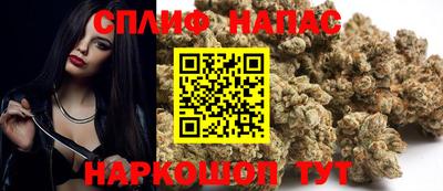 гашик Дубна