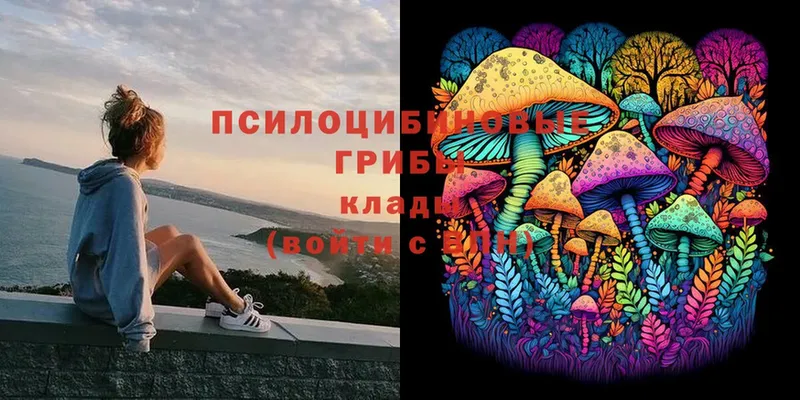 Псилоцибиновые грибы Magic Shrooms  Ипатово 