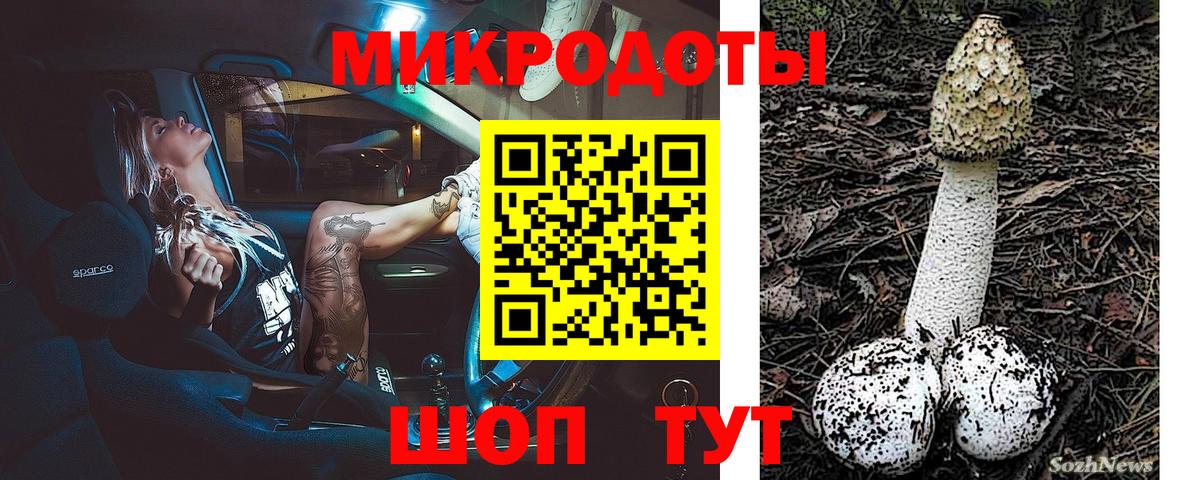 Галлюциногенные грибы Psilocybe  Ипатово 