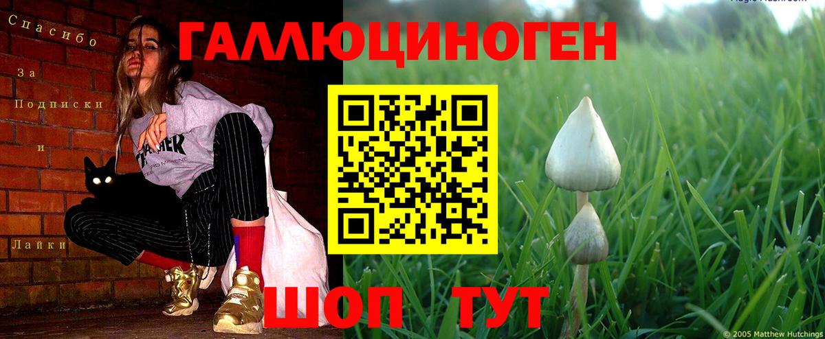 Псилоцибиновые грибы прущие грибы Ипатово